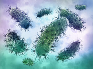 Do You Have Healthy Bacteria in YOUR Breasts?