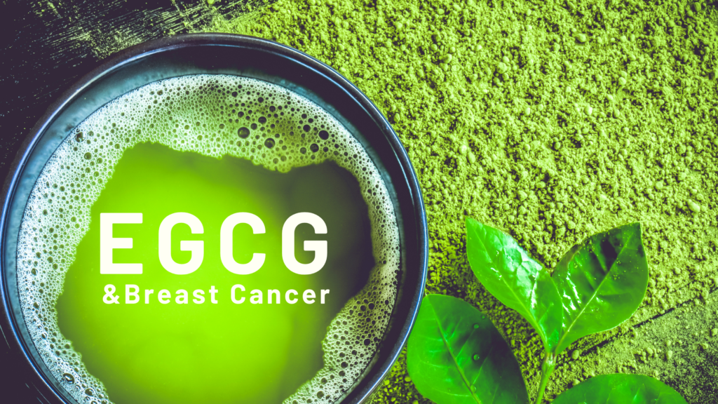 Why EGCG Should Be Part Of Your Healing Journey