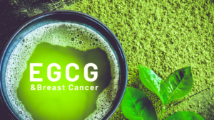 Why EGCG Should Be Part Of Your Healing Journey