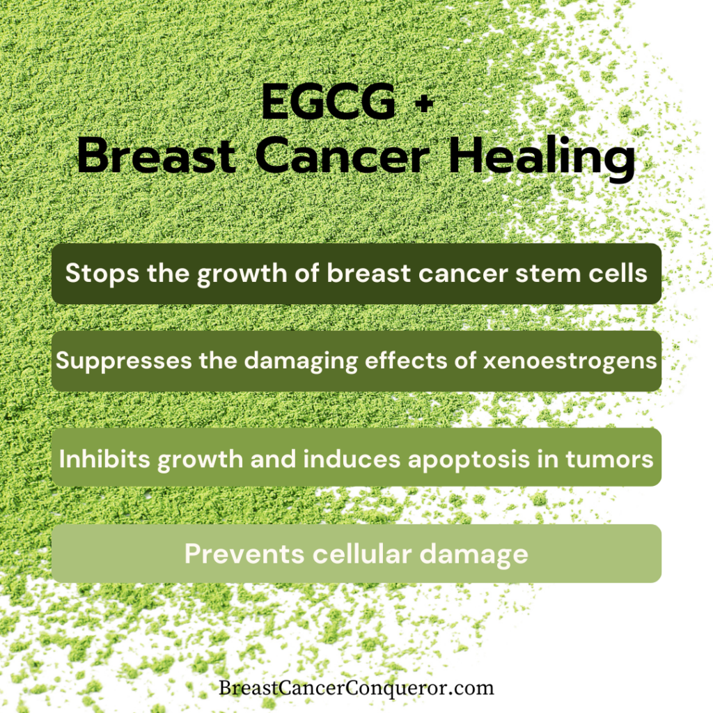 ECGC