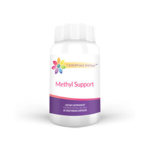 methylsupport_breastcancer