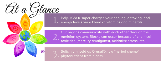 poly mva summary