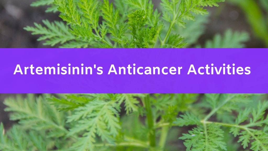 Artemisinin’s Anticancer Activities