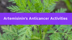 Artemisinin’s Anticancer Activities