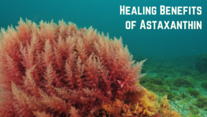 Astaxanthin and it’s 4 Powerful Breast Cancer Healing Benefits