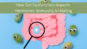 The Hidden Connection Between Gut Health, Hormones, Immunity, and Healing