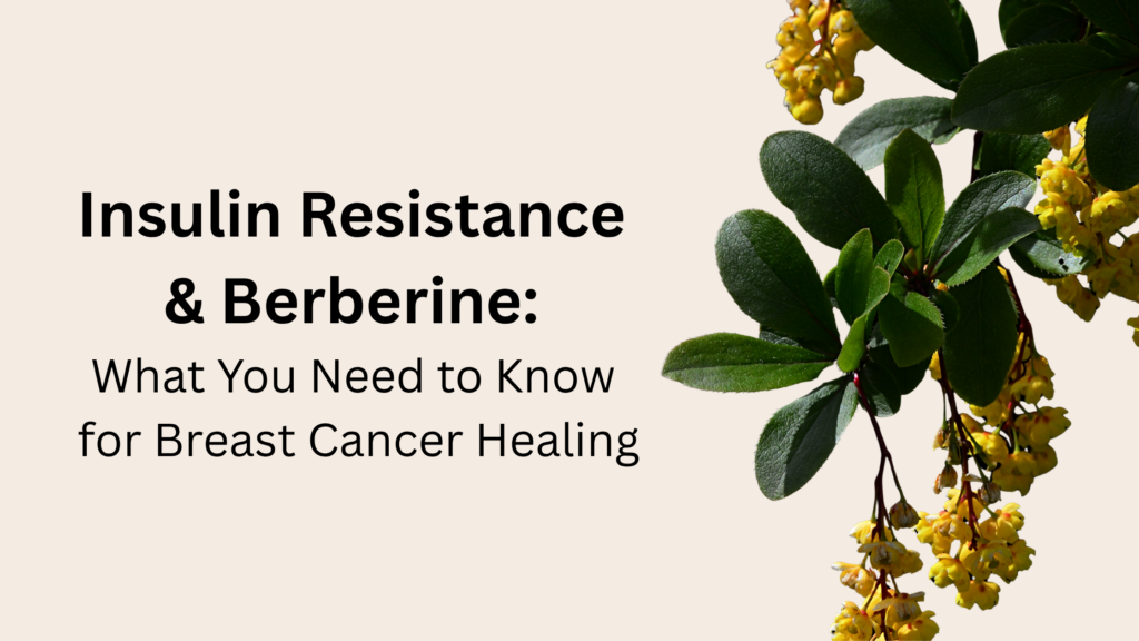 Insulin Resistance & Berberine for Breast Cancer Healing