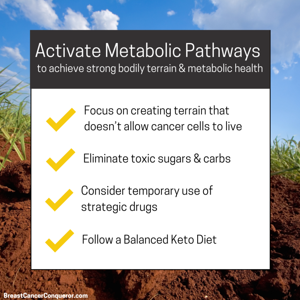 metabolic theory and health