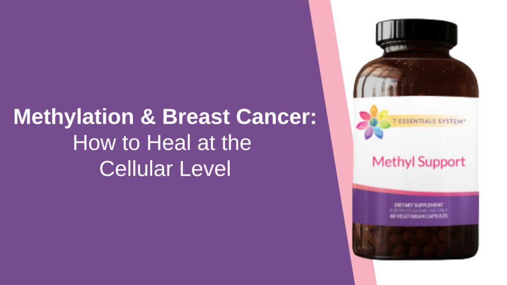 Methylation & Breast Cancer: How to Heal at the Cellular Level