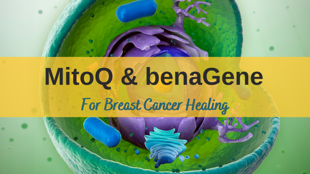 MitoQ & benaGene For Breast Cancer Healing