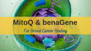 MitoQ & benaGene For Breast Cancer Healing
