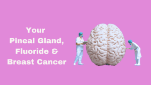 The Truth About Fluoride and Its Effects on The Pineal Gland