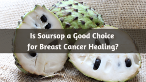 Is Soursop a Good Choice for Breast Cancer Healing?
