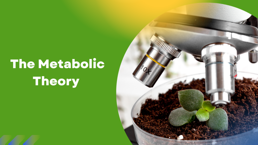 How to Heal Breast Cancer Using The Metabolic Theory