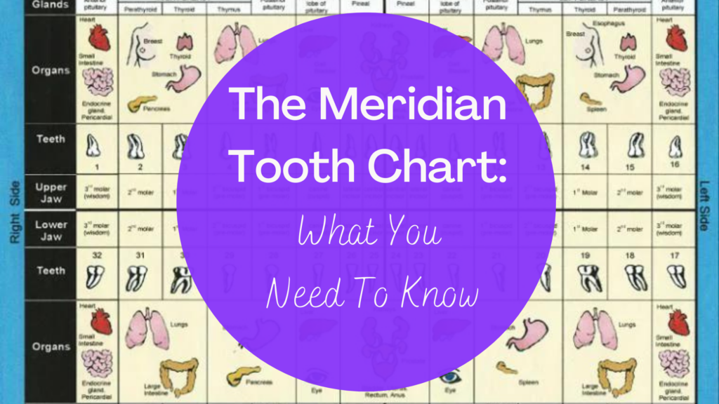 The Meridian Tooth Chart: What You Need To Know