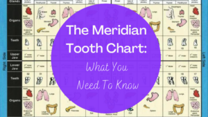 The Meridian Tooth Chart: What You Need To Know
