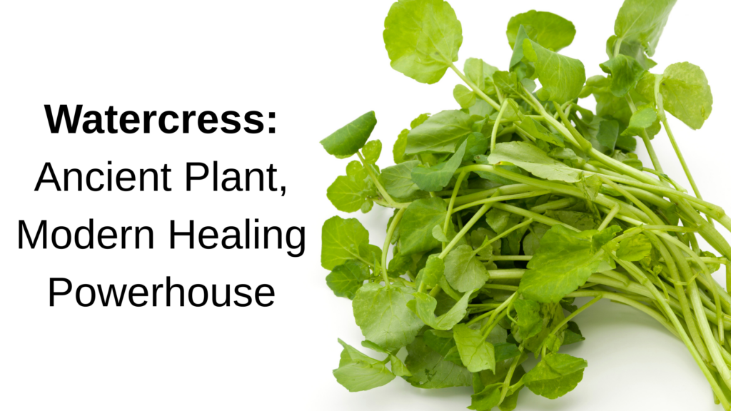 Watercress: Ancient Plant, Modern Healing Powerhouse