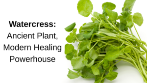 Watercress: Ancient Plant, Modern Healing Powerhouse