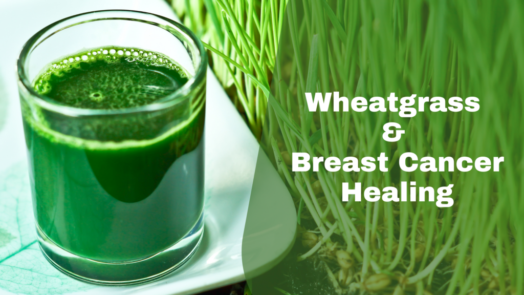 Why Wheatgrass is the Ultimate Green Juice Elixir